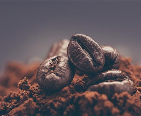 راز فنجان طلایی: چگونه دم‌آوری قهوه را در خانه حرفه‌ای انجام دهیم؟